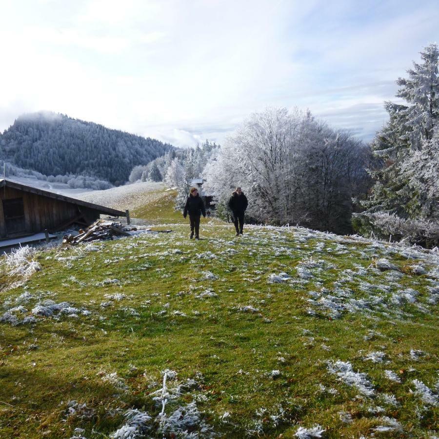 Appartement Les Sapins Blancs à Vacheresse Extérieur photo