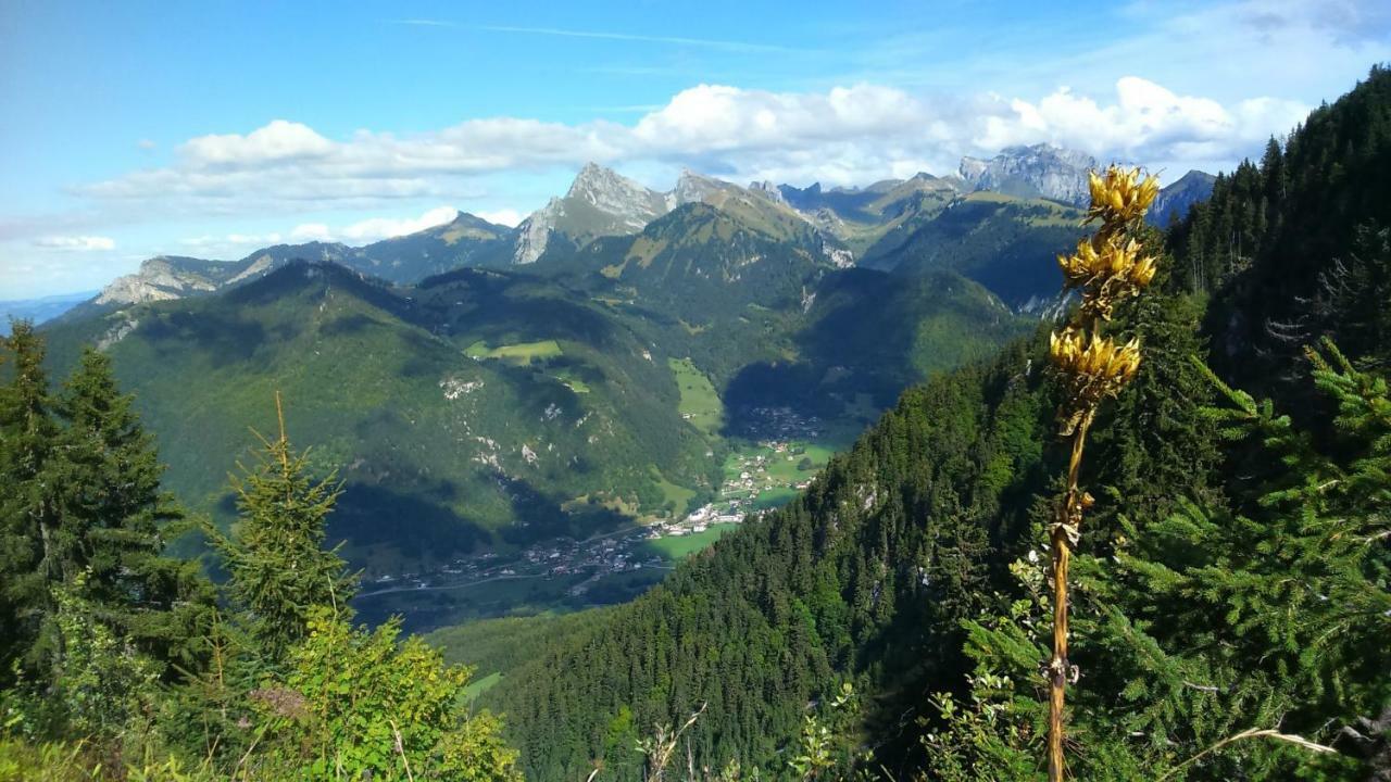 Appartement Les Sapins Blancs à Vacheresse Extérieur photo
