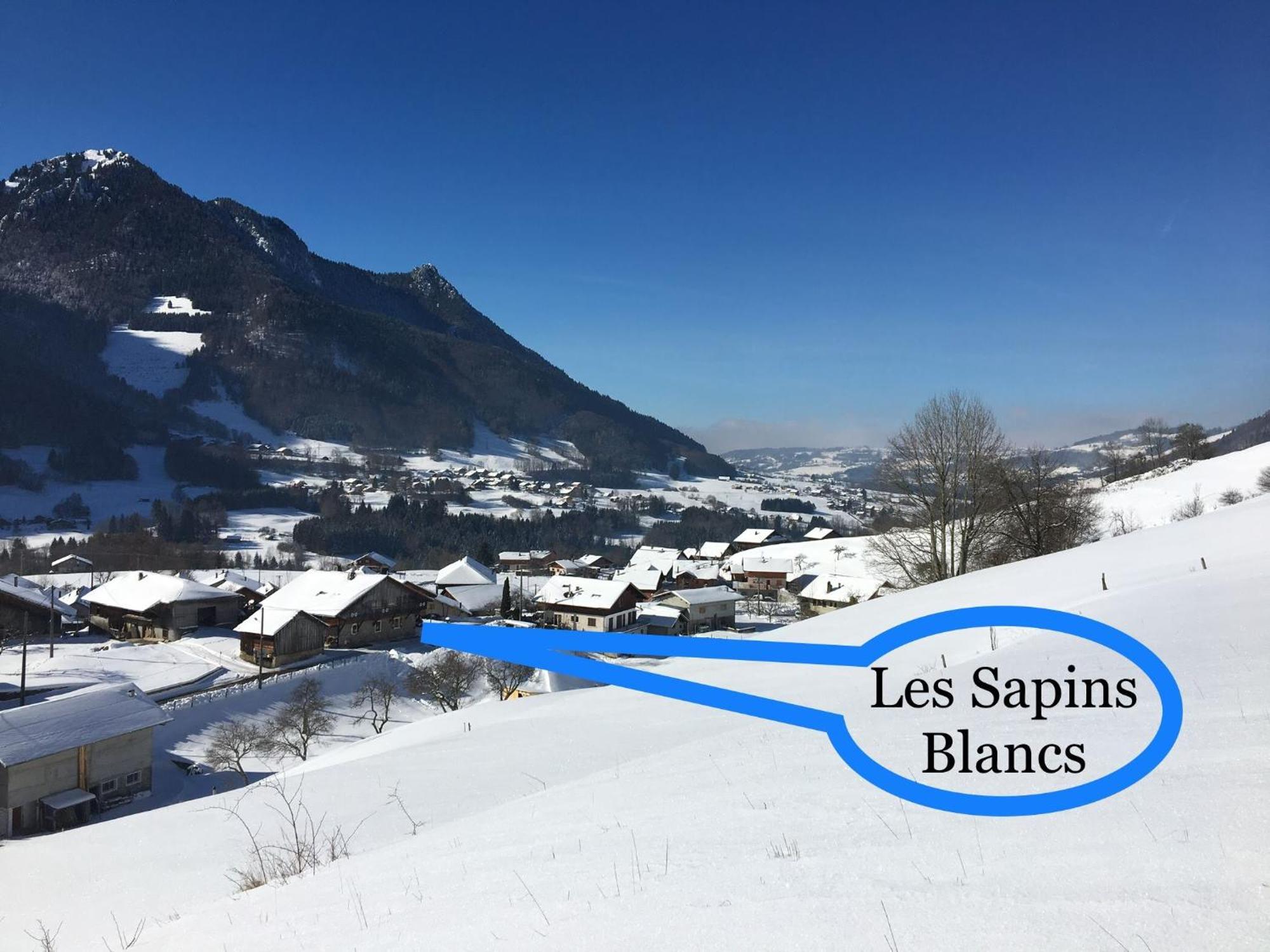 Appartement Les Sapins Blancs à Vacheresse Extérieur photo