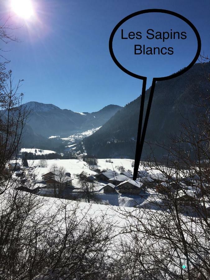 Appartement Les Sapins Blancs à Vacheresse Extérieur photo
